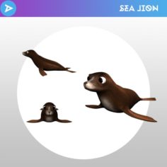 Sea Lion 3D Model