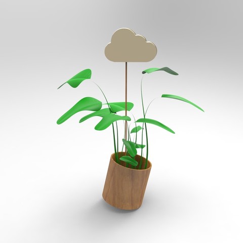 Small Cloud / Water your plants 3D Print Model