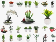 24 Pot Plant s 3D Model