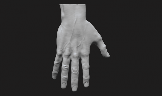 Perfect hand 3D Model