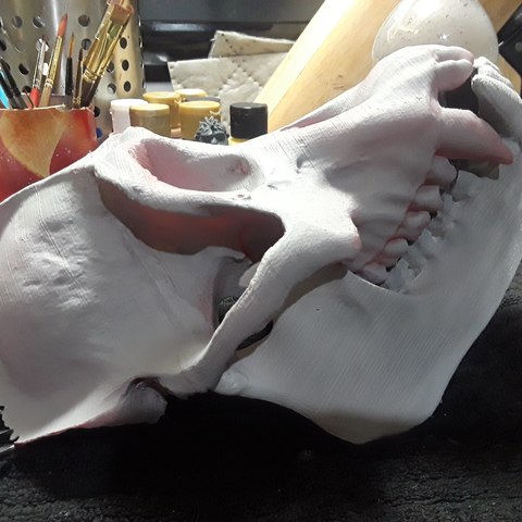 Replica Real Orangutan Primate Skull and Jaw 3D Print Model