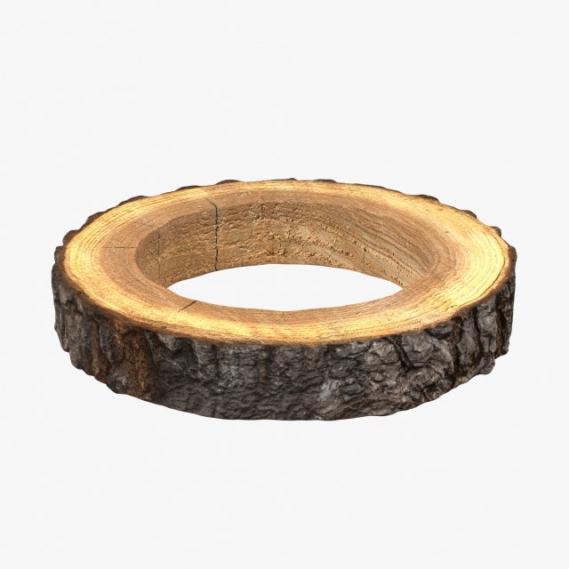 Wood Log Ring 3D Model