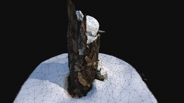 Photoscan Stump with snow 1 3D 3D Model