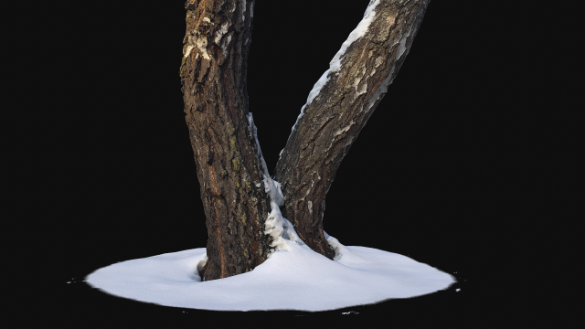 3D Photoscan Birch trunk with snow 4 model 3D Model