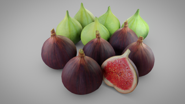 Fig Collection 3D Model