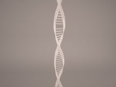 DNA model Free 3D Model