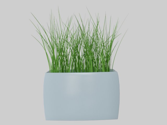 Decorative plants in vases Grass 3D Model