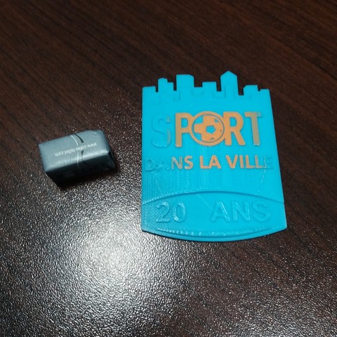 Sport badge in the city 3D Print Model