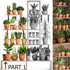 Collection of plants PART 1 3D Model