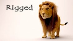 Lion and liones 3D Model