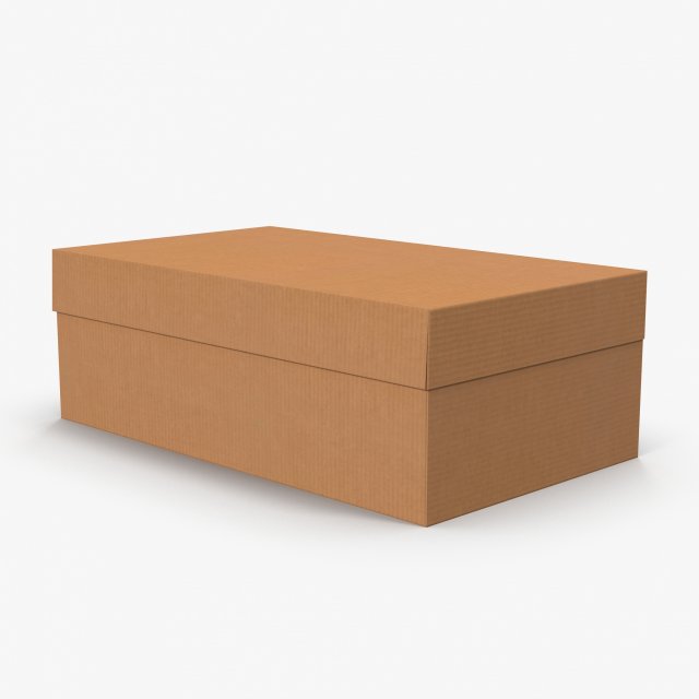 Cardboard Shoe Box Low-Poly 3D Model