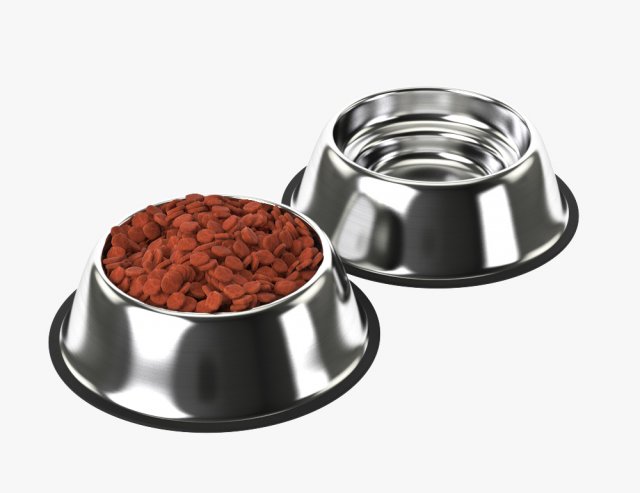 Stainless Steel Dog Bowl with food 3D Model