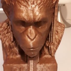 Caesar 3D Print Model