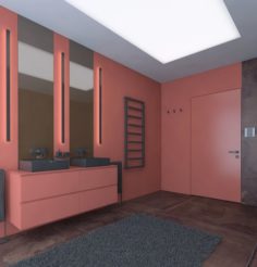 Modern style bathroom with a red wall 3D Model