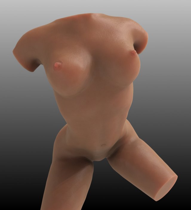 Female body 4 3D Model