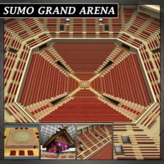 Sumo arena grand hall dojo 3D Model