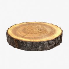 Wood Log Slice 3D Model