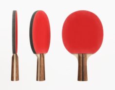 Table tennis paddle 3D Model