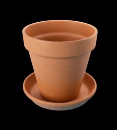 Terracotta Plant Pot 3D Model
