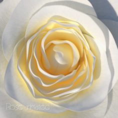 Rose Animated 3D Model