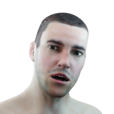 Male Head Rigged model 3D Model