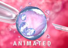 Artificial insemination glass needle fertilizing a female egg 3D Model