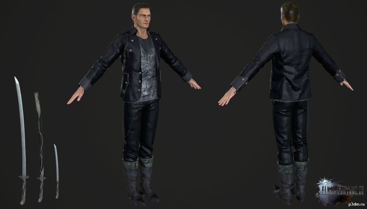 Cor Leonis 3D Model