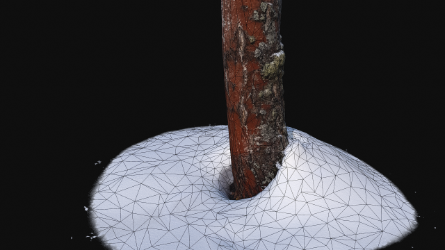 Photoscan Birch trunk with snow 2 3D Model