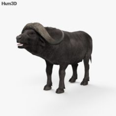 African Buffalo HD 3D Model