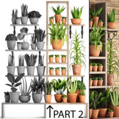 Collection of plants PART 2 3D Model