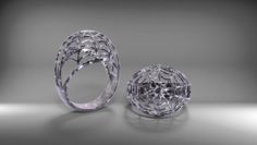 Ring spider web 3D Model