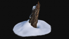 Photoscan Stump with snow 1 3D Model