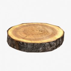 Wood Log Slice Low-Poly 3D Model
