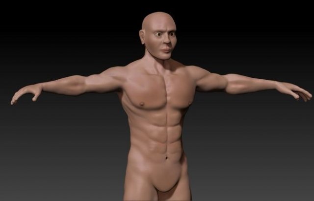 Naked base man 3D Model