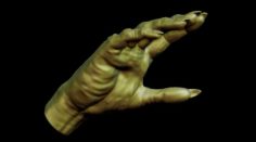 Creepy monster hand for print 3D Model