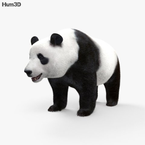 Giant Panda HD 3D Model