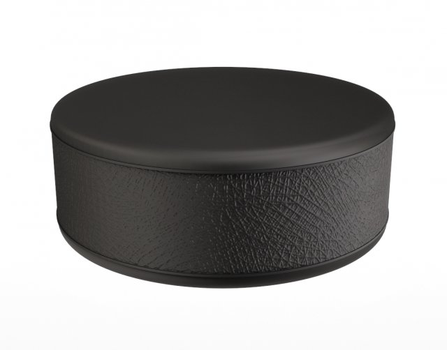 Hockey puck 3D Model