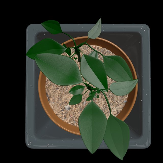 Pot with the plant 3D Model