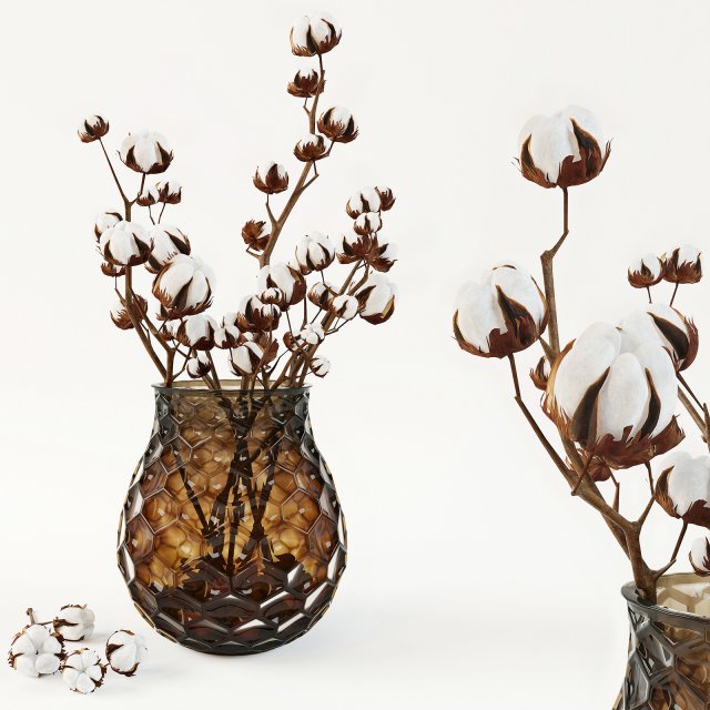 Cotton in a vase 3D Model