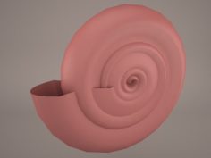 Seashell Nautilus 3D Model