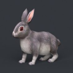 Game Ready Rabbit 3D Model