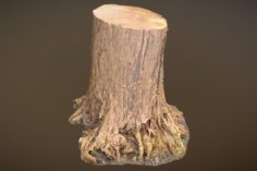 Tree Stump 3D Model
