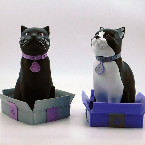 Schrodinky! Cults cat collar medals!! 3D Print Model
