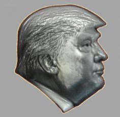 Donald trump Relief 3D Model