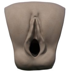 Realistic printable vagina 3D Model