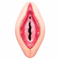 Vagina Low Poly 3D Model