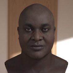 Joseph head male 3D Model