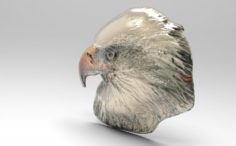 Bald eagle relief 3D Model