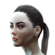 Female Head model 3D Model
