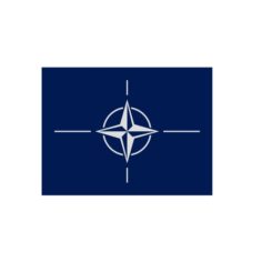 Nato Flag 3D Model